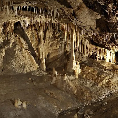 Goscinne Nad Zalewem W Starej Morawie