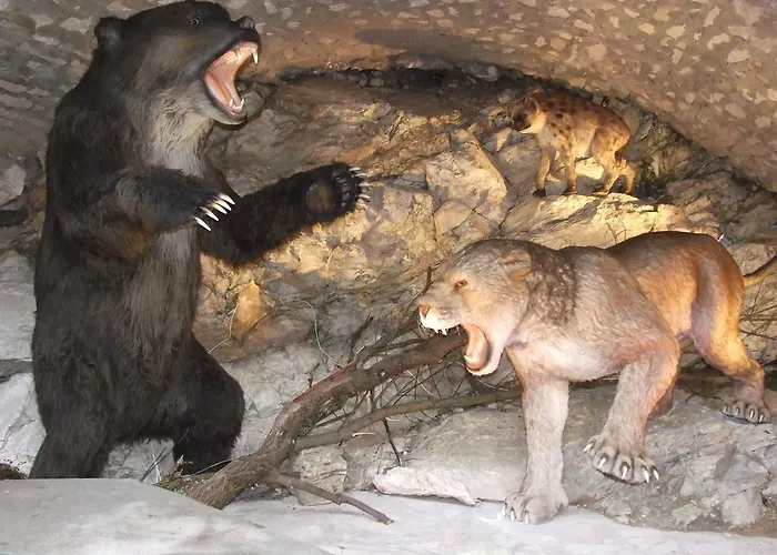 Goscinne Nad Zalewem W Starej Morawie *