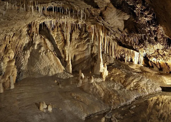 Goscinne Nad Zalewem W Starej Morawie
