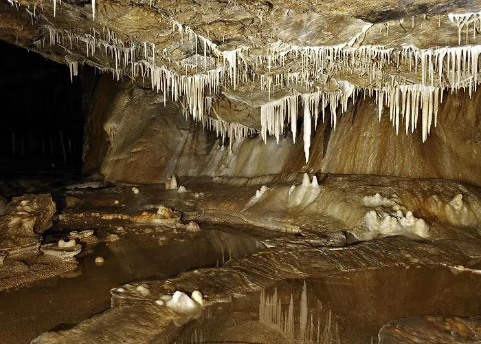 Prázdninový areál Goscinne Nad Zalewem W Starej Morawie Stronie Śląskie